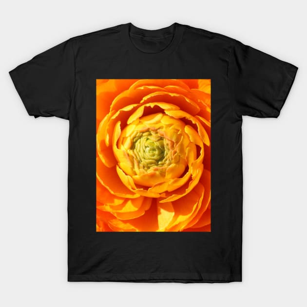 Ranunkel in Orange T-Shirt by OVP Art&Design